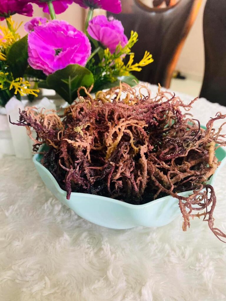 Advantages of Sea Moss for Human Consumption