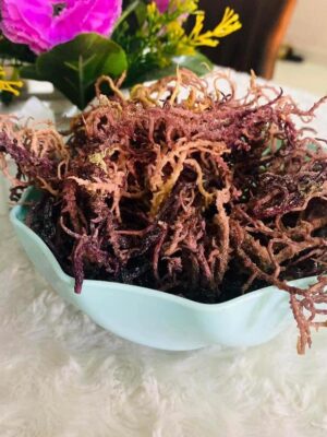 Advantages of Sea Moss for Human Consumption